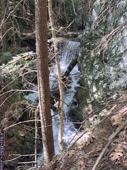 small waterfall viewed through trees