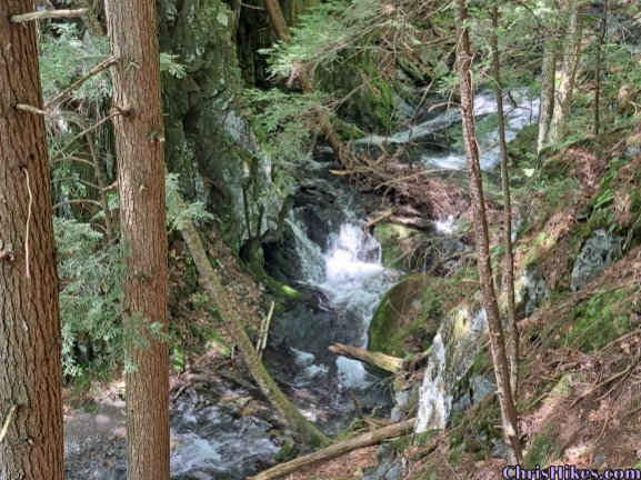 stream with cascades viewed through trees