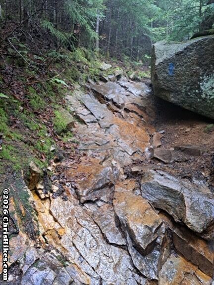 photo of wet rock slabs