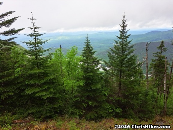 photo of evergreen trees with clouds and green mountains in background