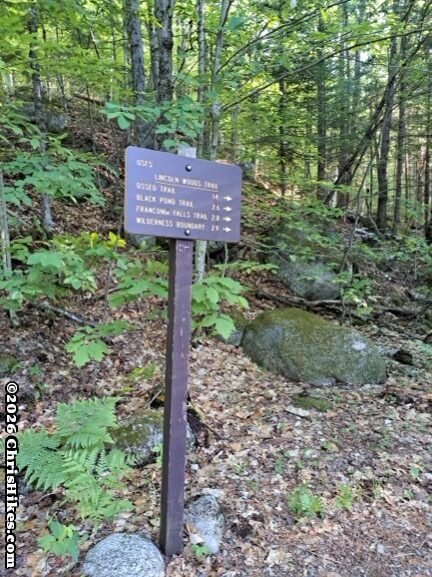 Photograph of brown sign mounted on a post