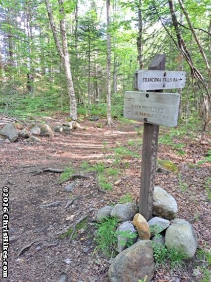 photograph of wooden sign mounted on a post in front of a hiking trail in the woods