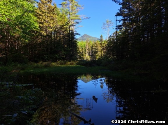 Photograph of distant mountain peak reflected in surface of pond