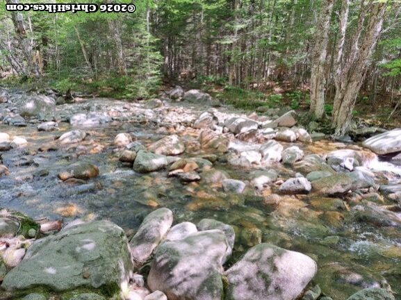 photograph of stream running through rocks