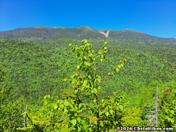 mountain range in distance covered in green trees with clear blue sky above