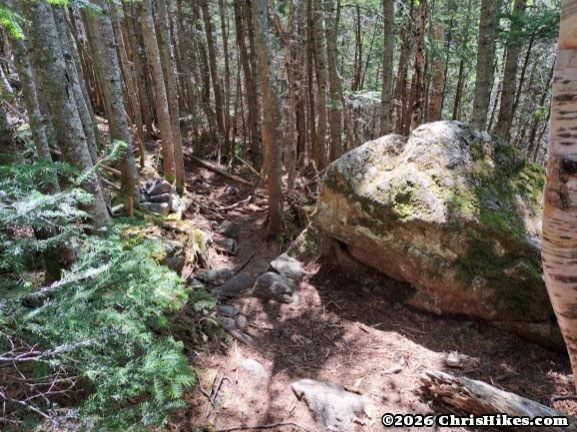 hiking trail in the woods leading to a boulder