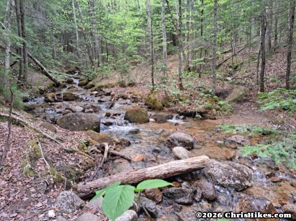 Photo of rocky stream in a forest