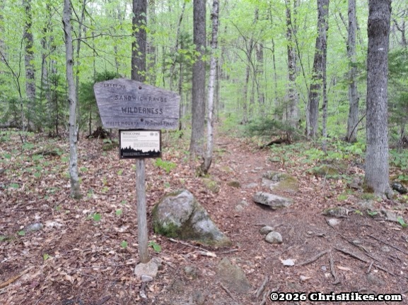 Photo of wooden sign in the forest
