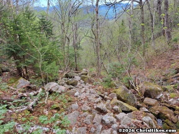 Photo of steep rocky trail in a forest