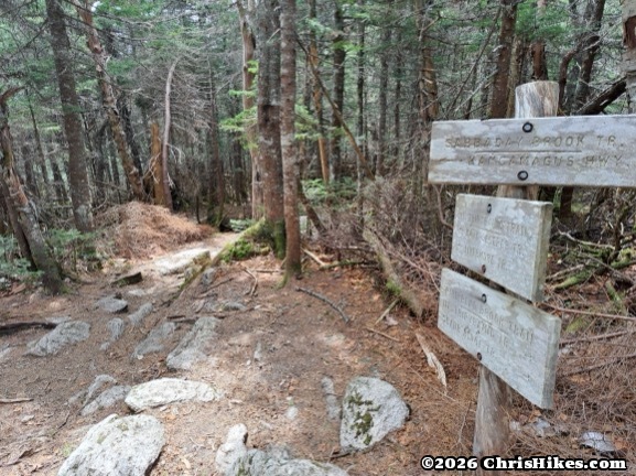 Photo of hiking trail with wooden trail sign