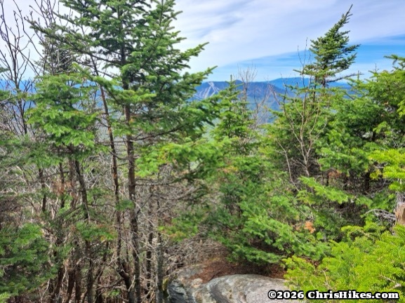 Photo of trees and distant mountains