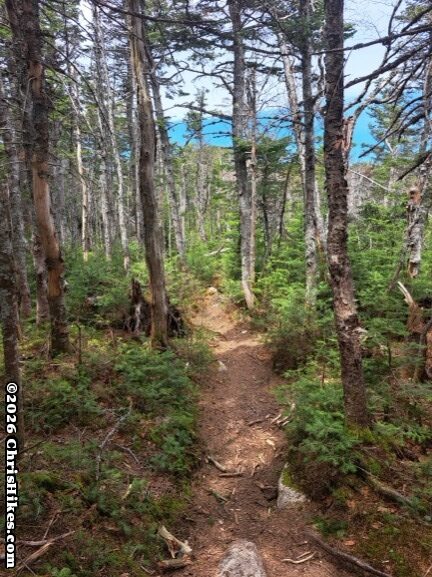 Photo of smooth hiking trail