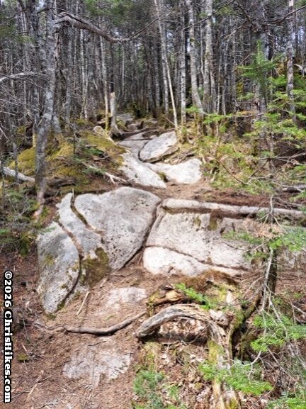 Photo of large rocks in a hiking trail
