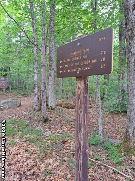 Brown sign with yellow writing on a wood post in a green forest
