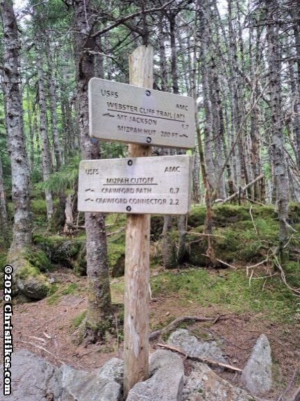 Two white signs with black letters mounted on a white post at opposing angles in a forest of evergreen tree trunks