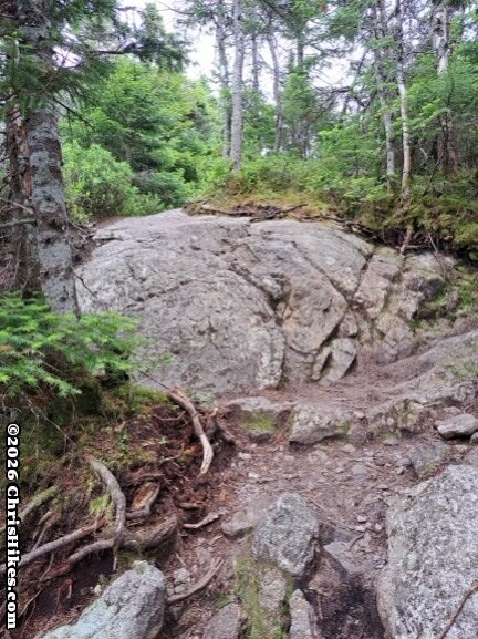 Hiking trail goes over a boulder