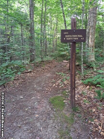 Brown sign with yellow letters mounted on brown pole next to hiking trail in green forest