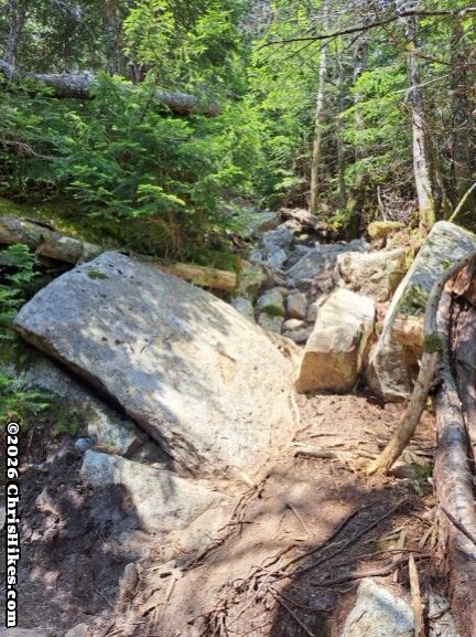 Large angled rock with rocky hiking trail in background