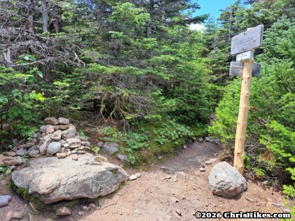 Pile of rocks on left, hiking trail center, gray sign with carved letters mounted on weathered tree branch on right