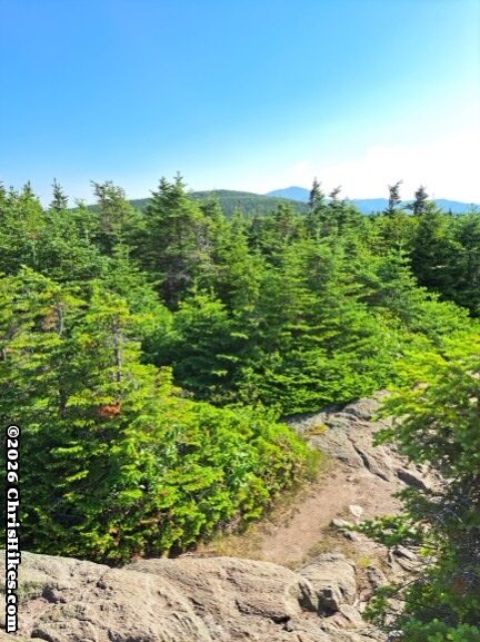 Smooth rock hiking trail, evergreens in foreground, mountain tops in background