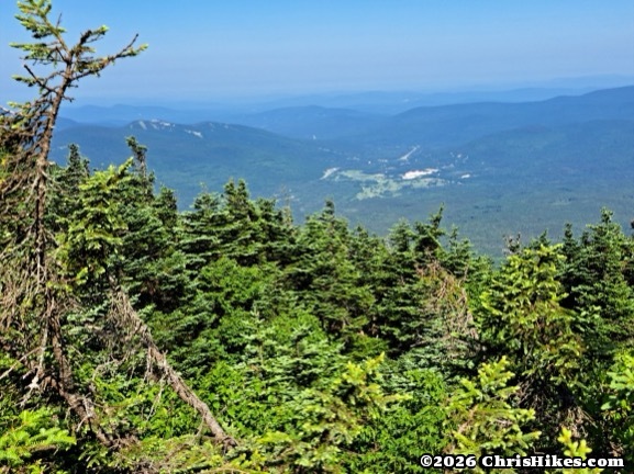 Evergreen trees in foreground, blue-green valley in background with road and white buildings