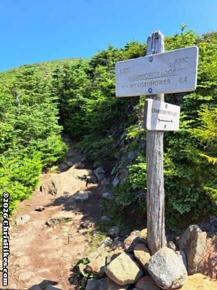 White sign with black letters mounted on a worn tree branch set in a pile of rocks; short evergreen trees in background