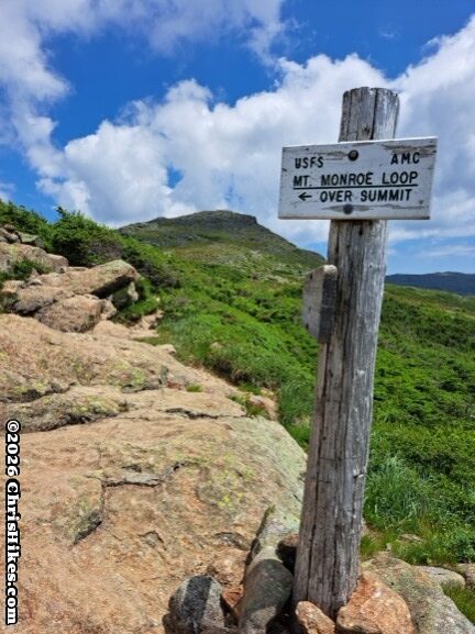 White sign with black letters mounted on a worn tree branch in a pile of rocks, green mountain tops in background