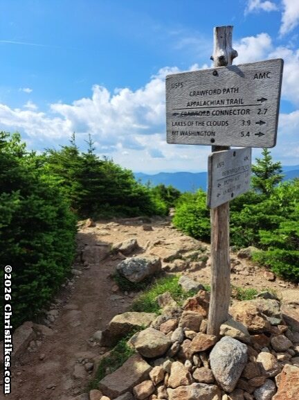 White sign with black letters mounted on weathered tree branch, short evergren trees in foreground, blue mounains and blue sky with puffy white clouds in background