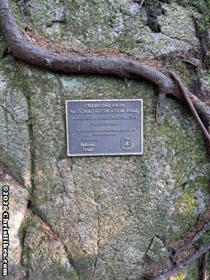 Bronze plaque mounted on a boulder, tree root growing across boulder above sign