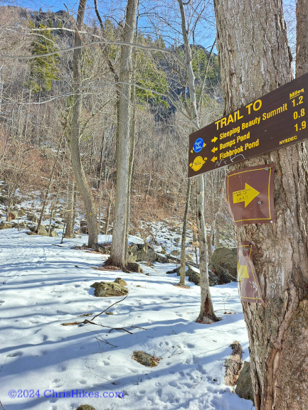 Trail junction: Bumps Pond or Sleeping Beauty