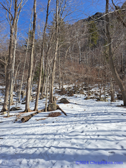 Snow covered hiking trail