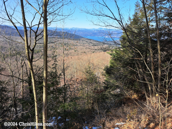 Looking through trees at Lake George