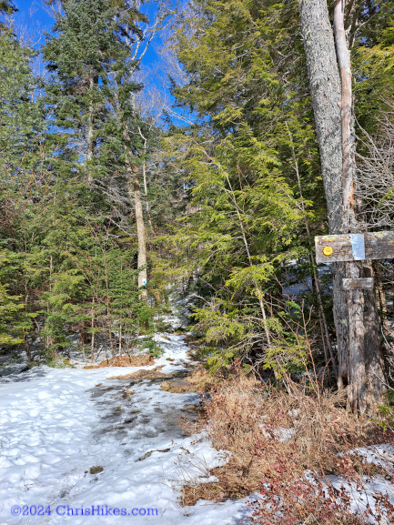 Trail to Erebus Mountain