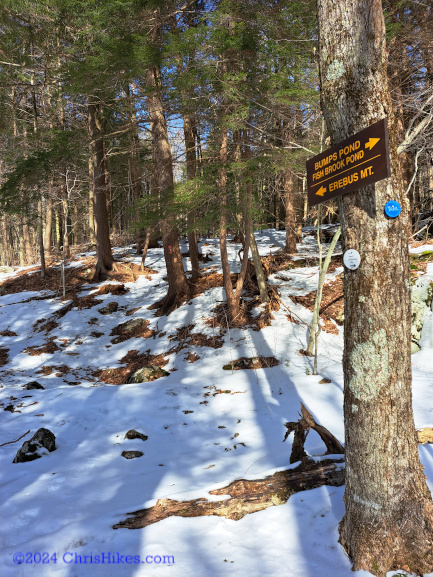 Junction on trail to Erebus