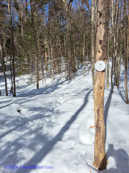 Marked point on Erebus shoulder