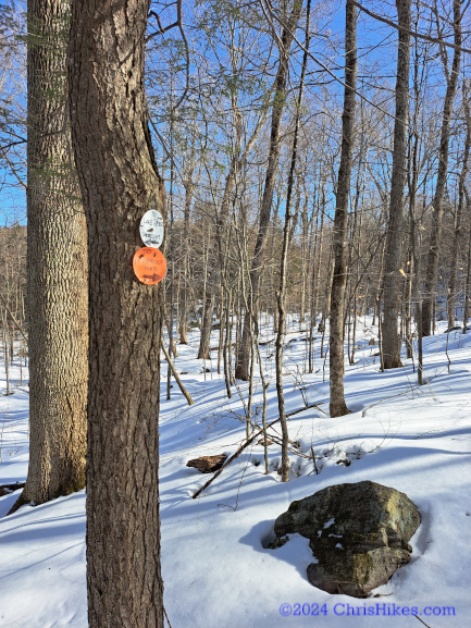 Trail to Fishbrook Pond