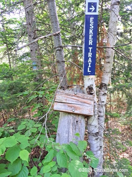 Trail signs in the woods: Bigelows and Esker.