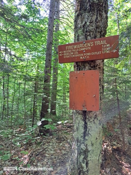 Trail junction signs mounted on a tree