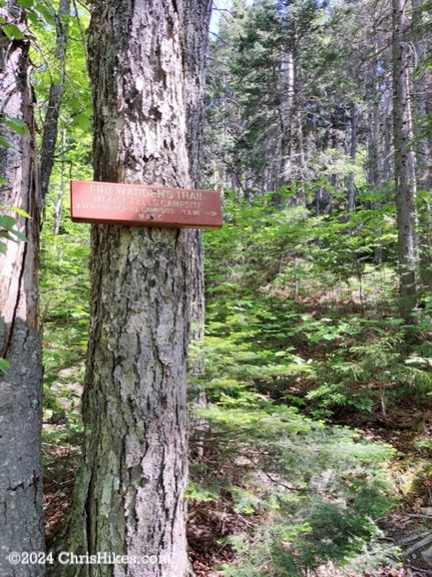 Moose Falls Campsite sign mounted to a tree