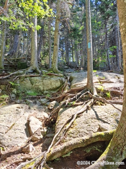 Trail up a rock ledge