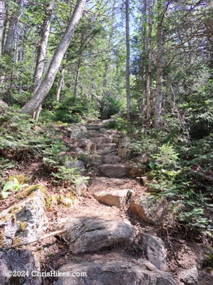 Hiking trail with rock steps.