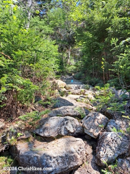 Hiking trail with large stone steps