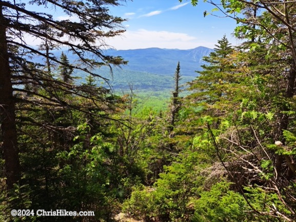 View of Sugarloaf Mountain from hiking trail