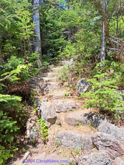 Hiking trail with gradual stone steps