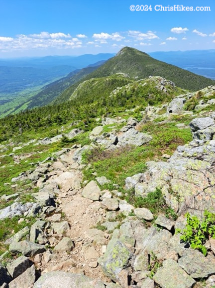 Bigelow Range, June 2024