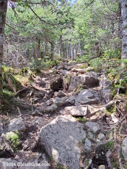 Hiking trail filled with boulders