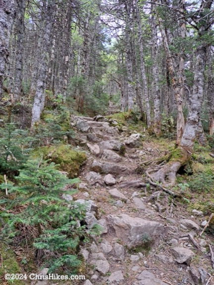 Rocky hiking trail ascending a mountain