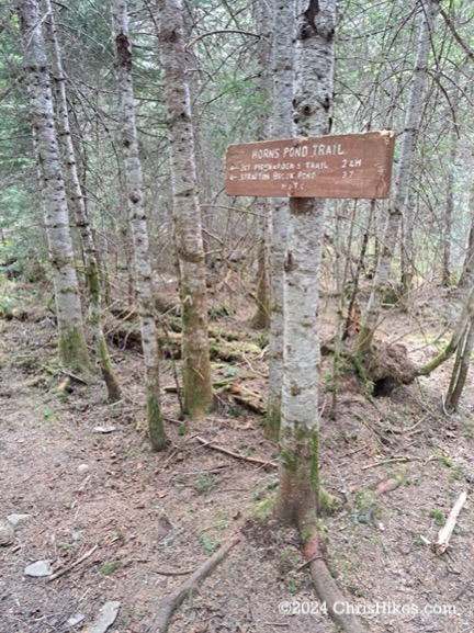 Sign for Horns Pond Trail mounted on a tree in the woods