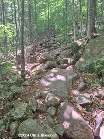 Photograph of hiking trail with medium sized rocks scattered throughout