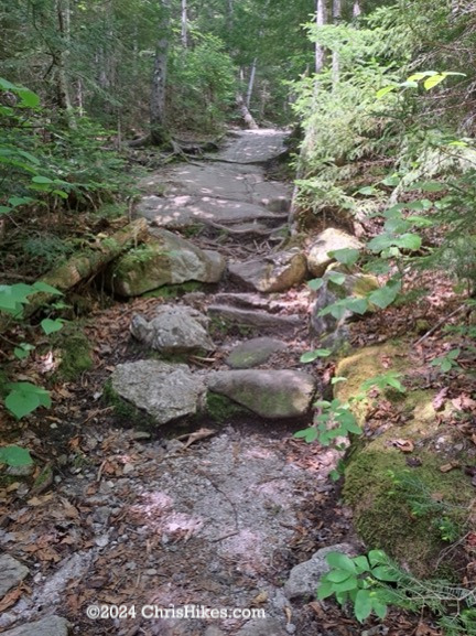 Photograph of rock slab on a hiking trail